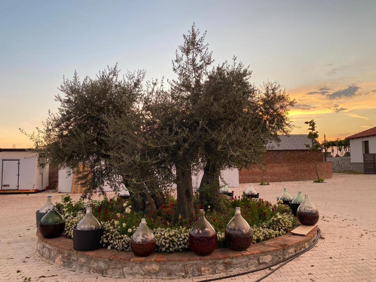 Hotel Mrizi I Zanave Agroturizem Lezhë Exteriér fotografie