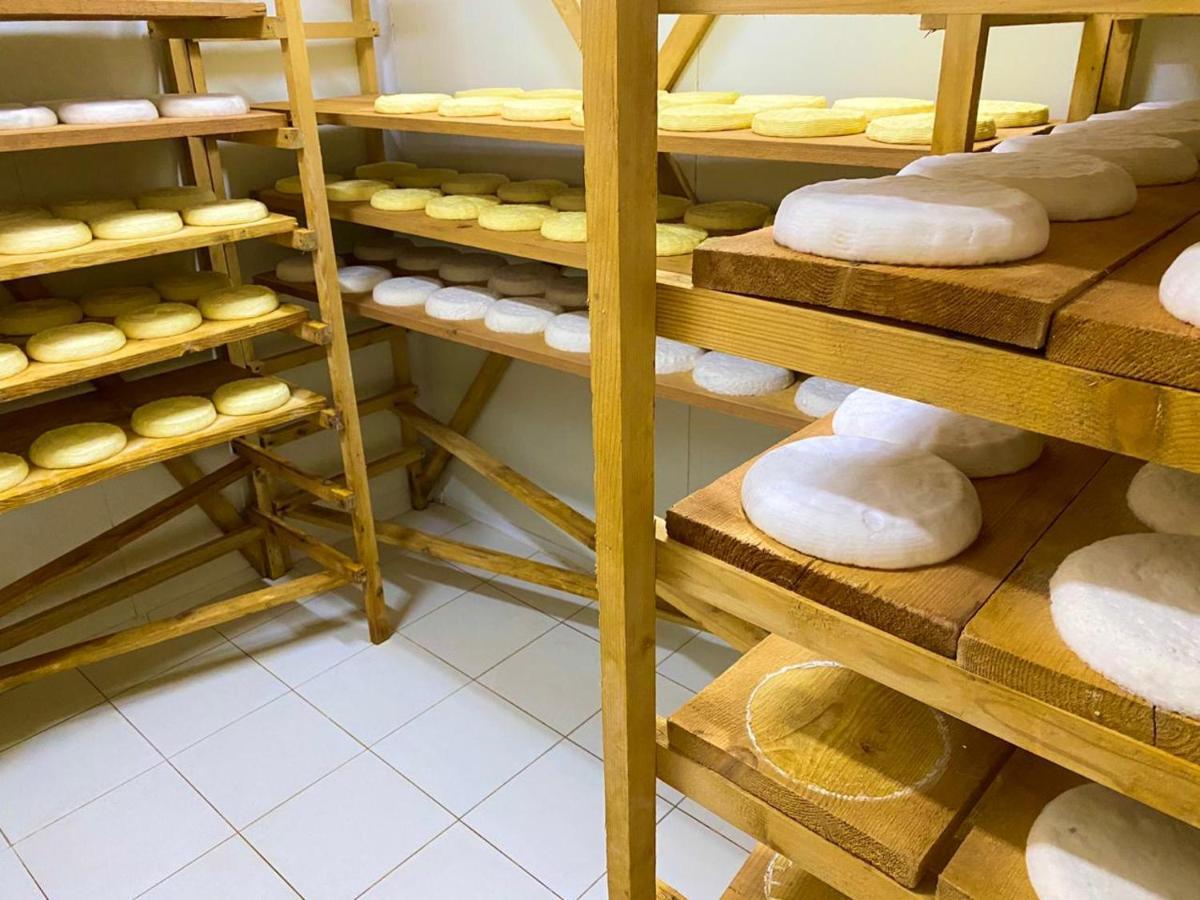 Hotel Mrizi I Zanave Agroturizem Lezhë Exteriér fotografie