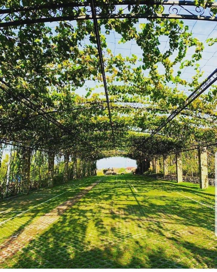Hotel Mrizi I Zanave Agroturizem Lezhë Exteriér fotografie
